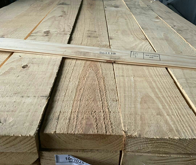 廉江阿根廷松木